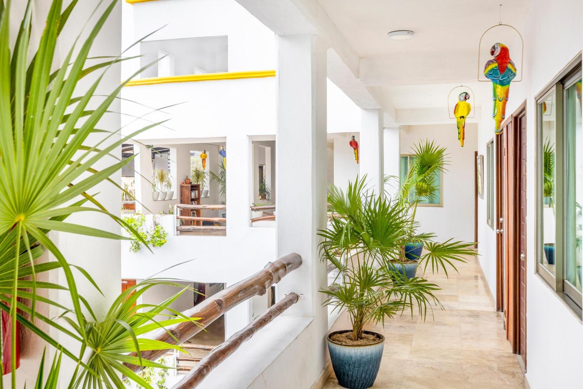 Hotel Pueblito Vallarta Puerto Vallarta Eksteriør billede